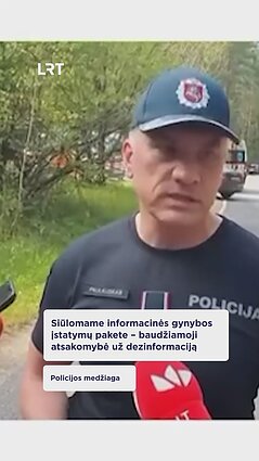 Daiva Ulbinaitė siūlo kriminalizuoti dezinformaciją