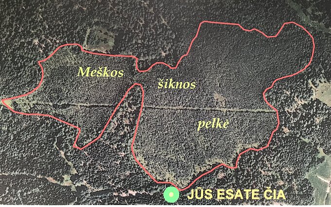 Aukštapelkės žemėlapis padės nepasiklysti