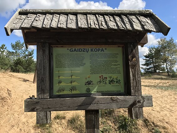 Gaidžio kopa