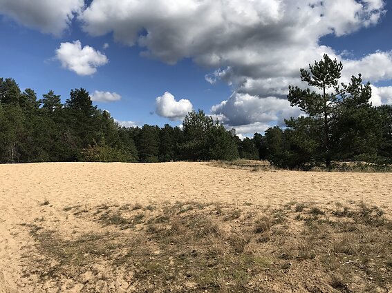 Gaidžio kopa