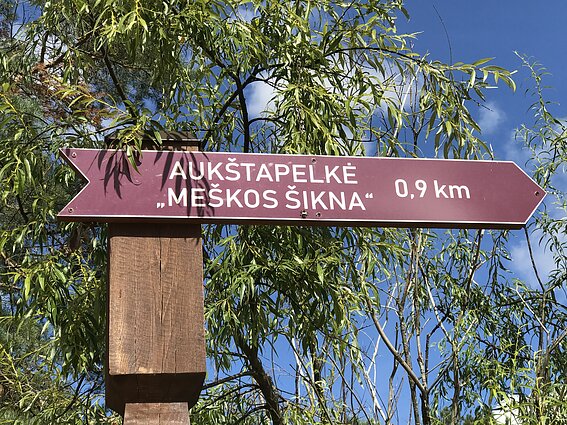 Kiek paėjėję nuo Gaidžio kopos atsidursite Meškos šiknos aukštapelkėje