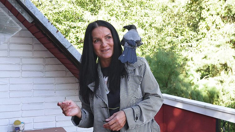 Sužeistas varnas priglaudusi Agnė apie jų pavydumą: veja ir žnaibo šunis, kai juos glostau