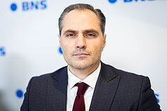 Povilas Drižas Povilas Drižas
