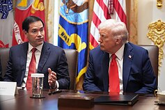 Marco Rubio, Donaldas Trumpas Marco Rubio, Donaldas Trumpas
