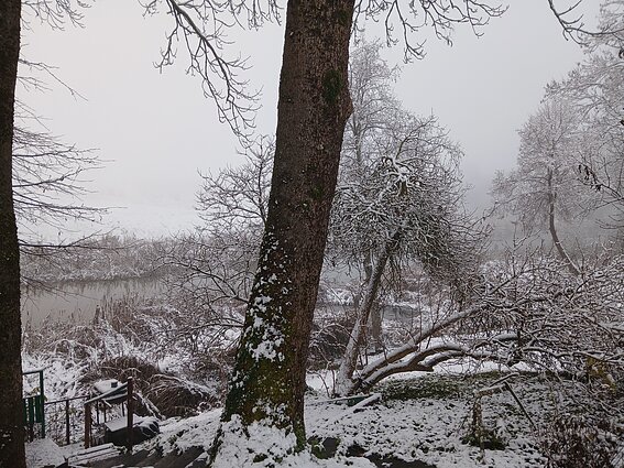 First snow in Tauragė