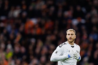 Edvinas Gertmonas. Pasaulio futbolo čempionato atranka: Nyderlandai – Lietuva