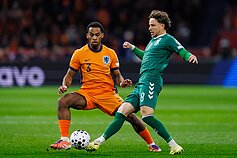 Tomas Kalinauskas. Pasaulio futbolo čempionato atranka: Nyderlandai – Lietuva