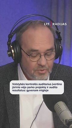 Projektu netikėjo net „Ignitis“ partneris: auditorius apie tai, ar jūrinio vėjo parkas atsipirks
