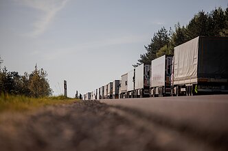 Vilkikų eilės Vilkikų eilės