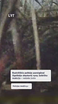 Pareigūnai išgelbėjo Radviliškio pelkėje skęstantį vyrą