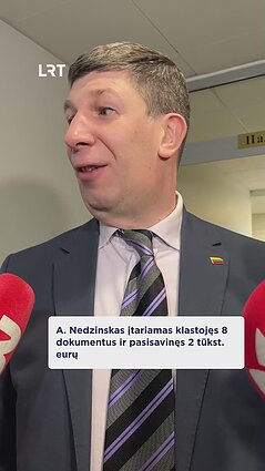 Prokurorė: Nedzinskas galimai suklastojo aštuonis dokumentus ir pasisavino per 2 tūkst. eurų