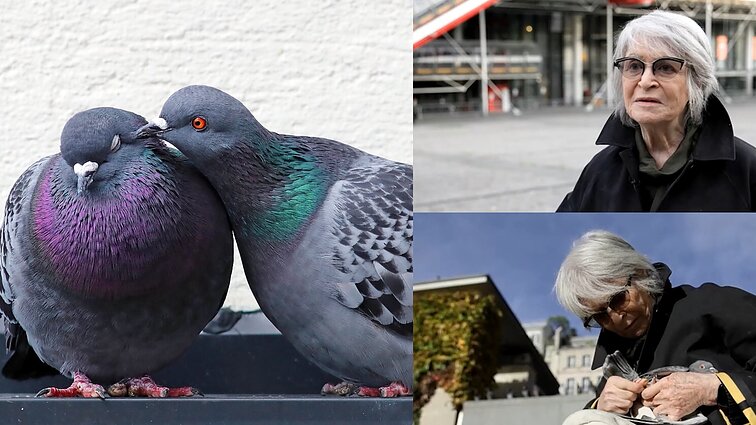 Paryžiaus balandžių gydytoja vadinama moteris: moku juos sugauti ir jiems padėti