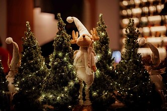 Pristatyta sostinės Kalėdų eglė ir kalėdinė programa