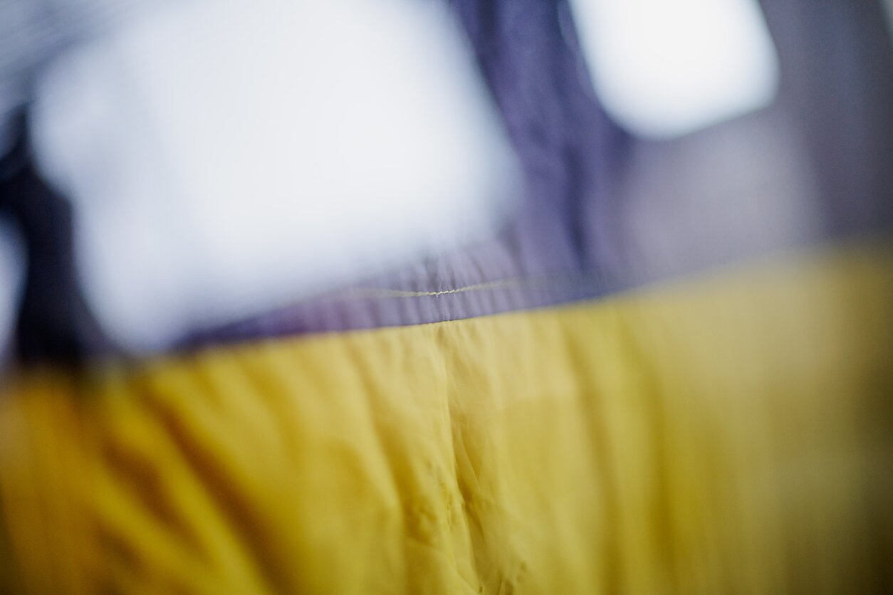 Ukrainos vėliava Ukrainos vėliava