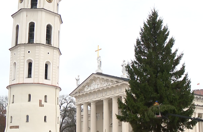 Puošiama Kalėdų eglė Vilniuje