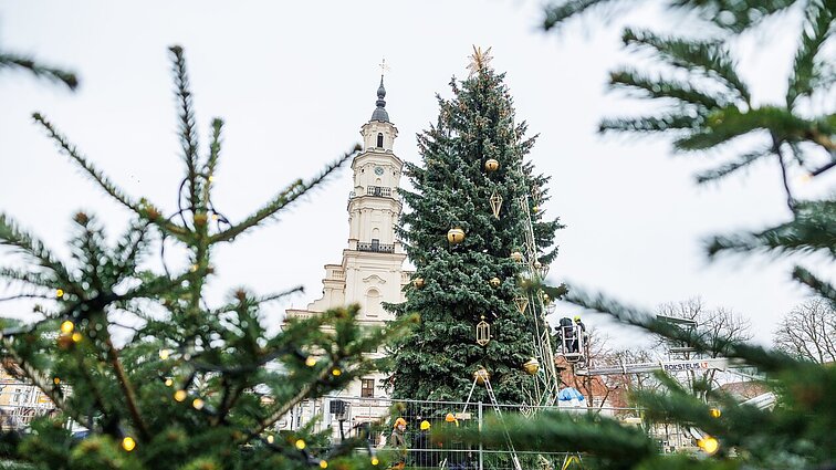 Kaunas pirmasis atidaro šventinio sezono pradžią: šeštadienį įžiebs eglę Rotušės aikštėje