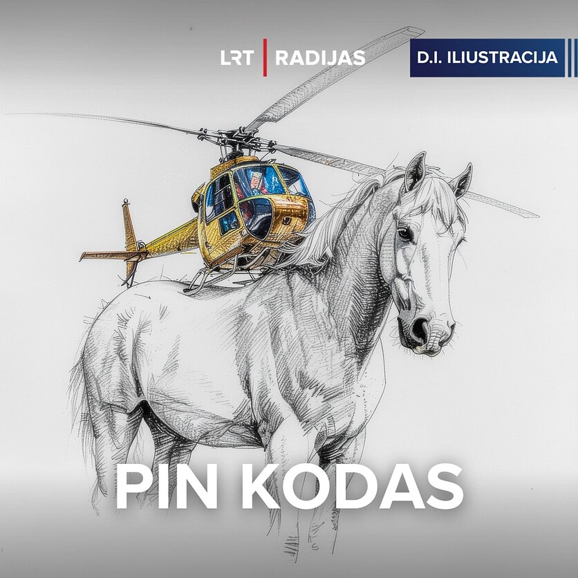 D.I. iliustracija, Laura Paukštė: buvo laikai, kai televizijos ir sraigtasparnį, ir baltą žirgą apmokėdavo