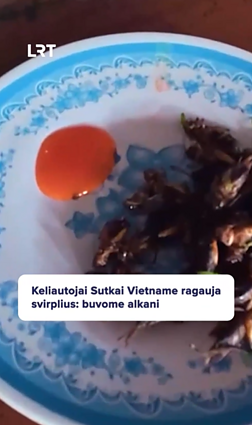 Ar išdrįstumėte paragauti svirplių?