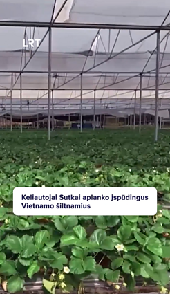 Sutkai apsilankė Vietnamo šiltnamiuose