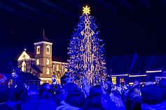 Kauno Kalėdų eglė