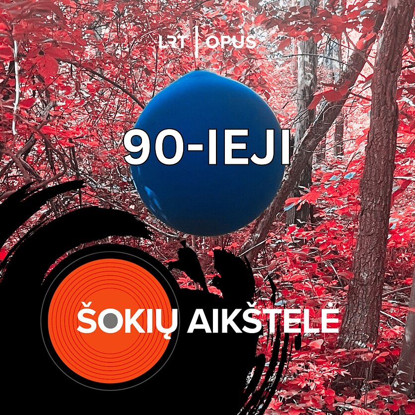 Andrius Laucevičius, 90-ieji.