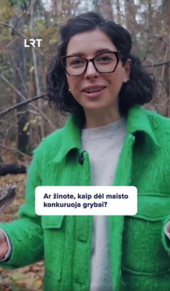 Kaip dėl maisto konkuruoja grybai?