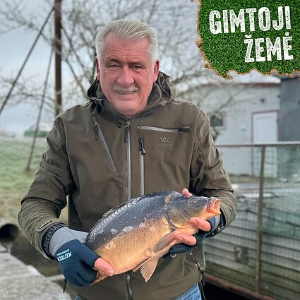 Karpiai Kalėdoms jau užauginti, bet jie vis rečiau puošia švenčių stalą