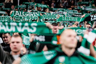Kauno „Žalgiris“, Kauno „Žalgirio“ sirgaliai