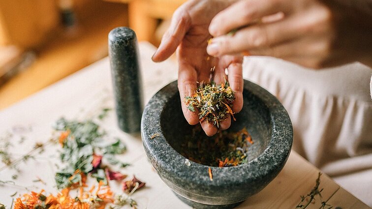 Endobiogenikė apie augalų naudojimą sveikatai: gali padėti kūnui pačiam rasti pusiausvyrą