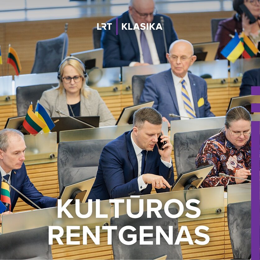 J. Stacevičiaus / LRT nuotr., Seimo posėdis