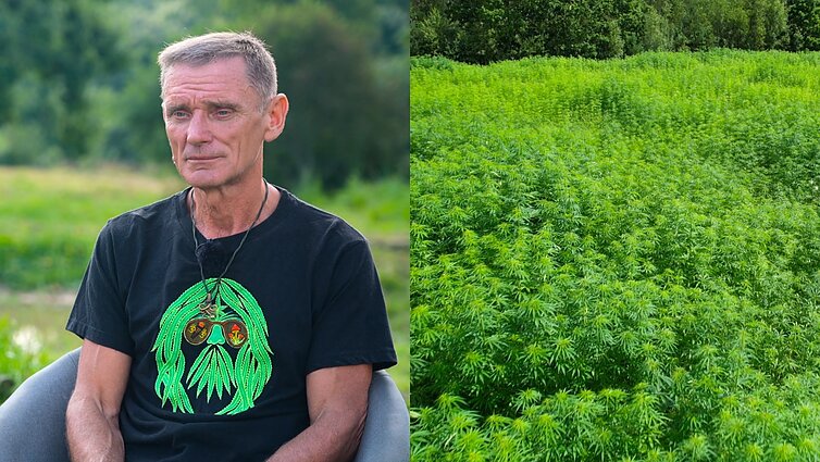 Pluoštinių kanapių ūkį puoselėjantis Gintautas: „Kaime pradedi suprasti, kad gyveni“