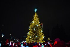 Panevežys Christmas tree
