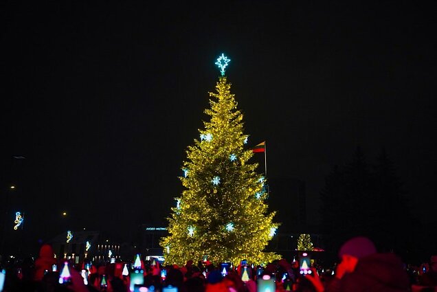 Panevežys Christmas tree