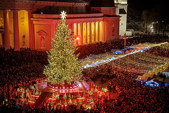 Vilnius Christmas tree
