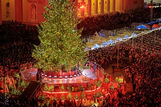 Įžiebta Vilniaus Kalėdų eglė