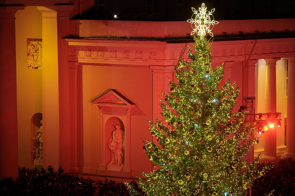 Įžiebta Vilniaus Kalėdų eglė