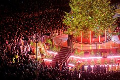 Vilniaus Kalėdų eglė