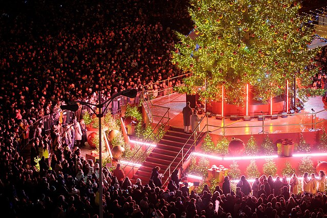 Vilniaus Kalėdų eglė