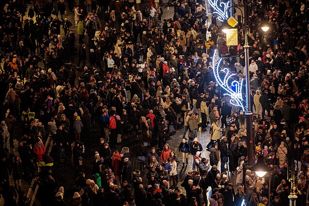 Vilniaus Kalėdų eglė