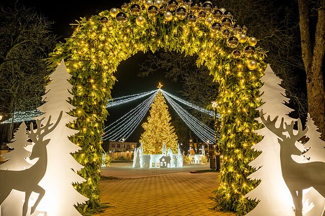 Kretinga Christmas tree
