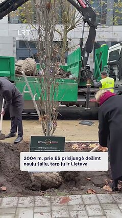 Briuselyje Lietuvos iniciatyva pasodinta medžių alėja: mini istorinį 2004 m. stojimą į ES