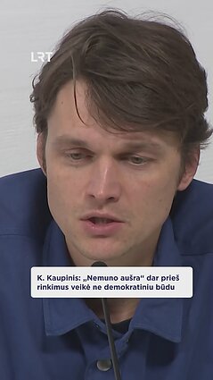 Kaupinis: „Nemuno aušra“ dar prieš rinkimus veikė ne demokratiniu būdu
