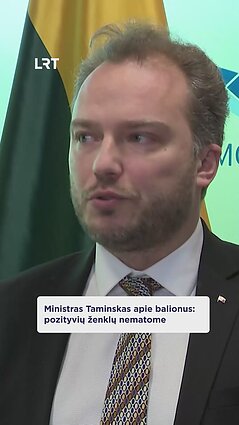 Ministras Taminskas apie balionus: pozityvių ženklų nematome
