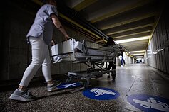 Kauno klinikos Kauno klinikos
