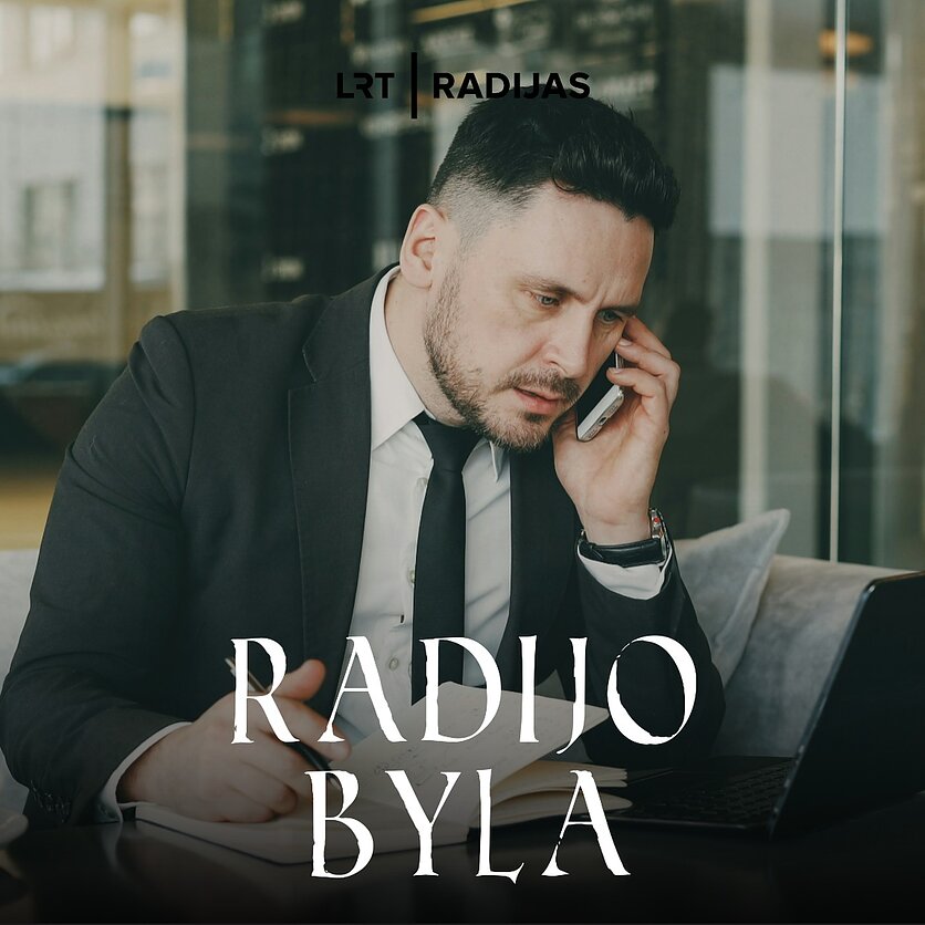 usnpalch nuotr., Rekordiniai VMI ieškiniai įmonių vadovams: kada tenka atsakyti asmeniniu turtu?