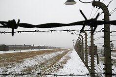 Тюрьма (ассоциативное)