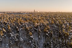 Žiemiški orai Vilniuje