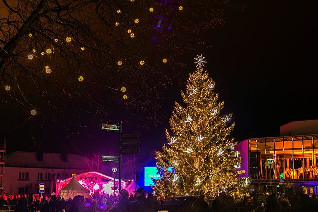 Anykščiai Christmas Tree