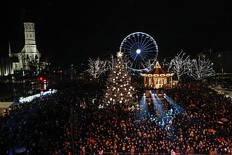 Šiauliai Christmas Tree