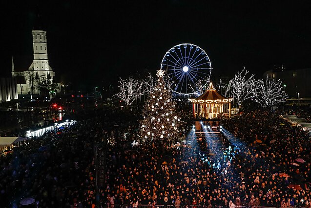 Šiauliai Christmas Tree